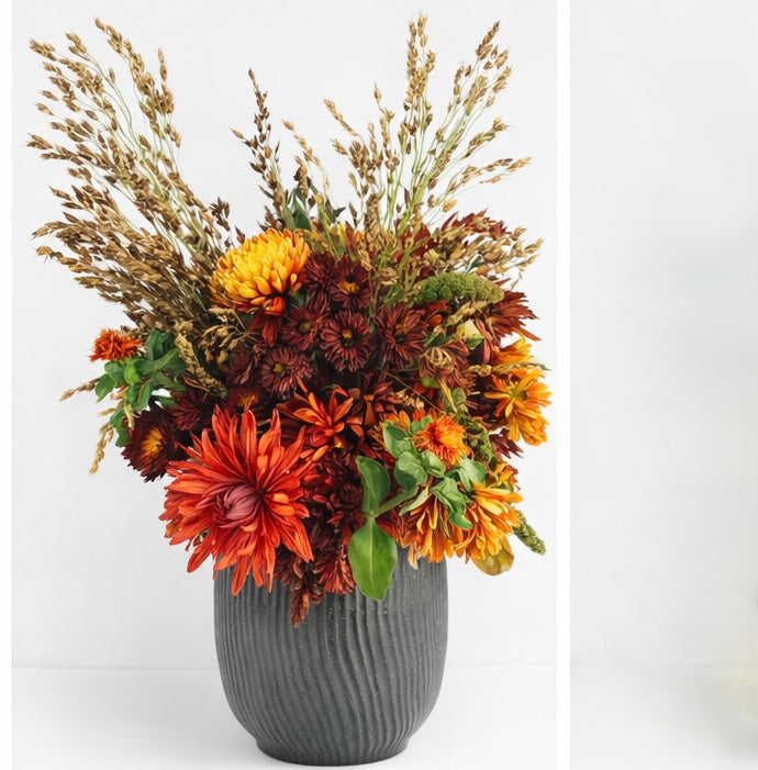 The Four Seasons Bloom